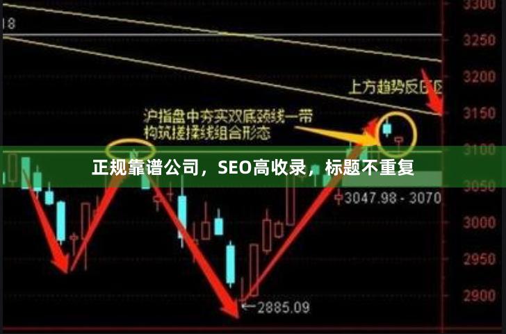 正规靠谱公司，SEO高收录，标题不重复