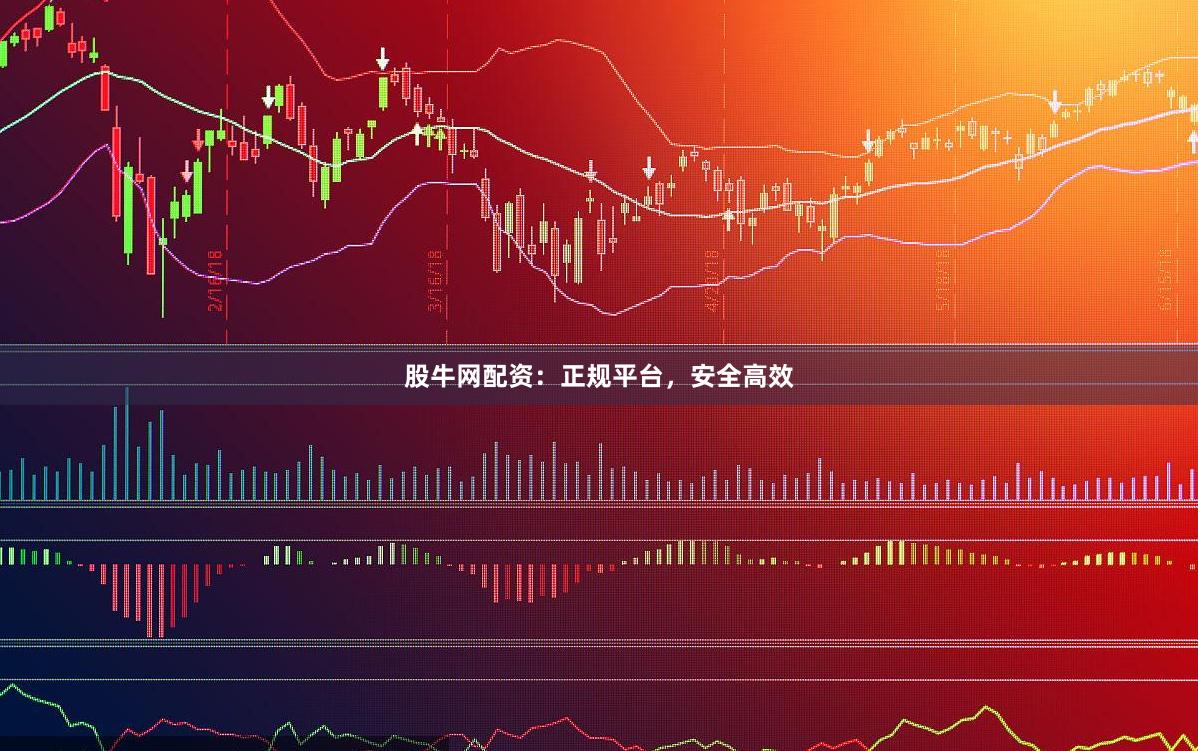股牛网配资：正规平台，安全高效